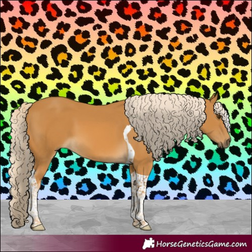 Horse Color:Palomino Tobiano 