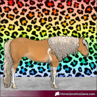 Horse Color:Palomino Tobiano 