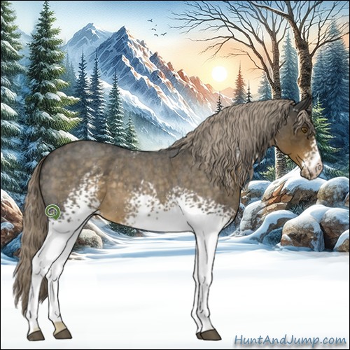 Horse Color:White Spotted Chocolate Palomino Roan 