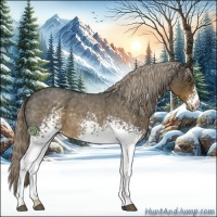 Horse Color:White Spotted Chocolate Palomino Roan 