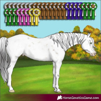 Horse Color:Buckskin Dun Sabino