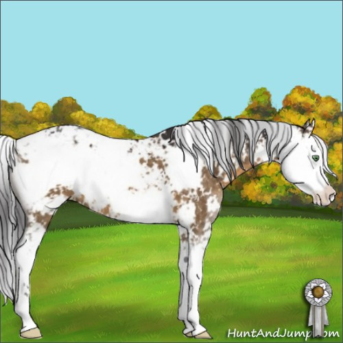 Horse Color:Buckskin Dun Sabino 