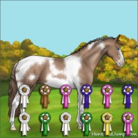 Horse Color:Black Pearl Tobiano Frame