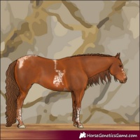 Horse Color:Chestnut Tobiano Frame