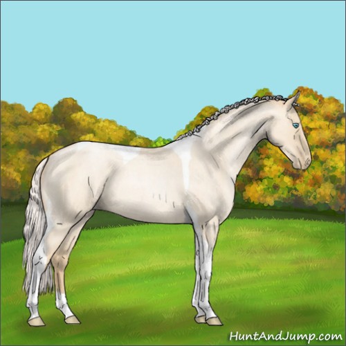 Horse Color:Silver Smoky Grullo Roan Pearl Tobiano 