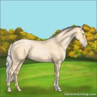 Horse Color:Silver Buckskin Pearl Tobiano 