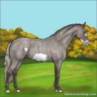 Horse Color:Silver Blue Roan Frame 