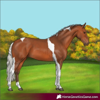 Horse Color:Silver Bay Tobiano 