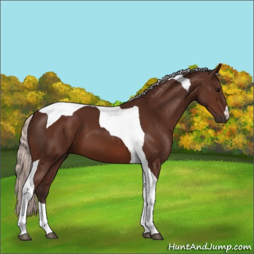 Horse Color:Silver Brown Tobiano 