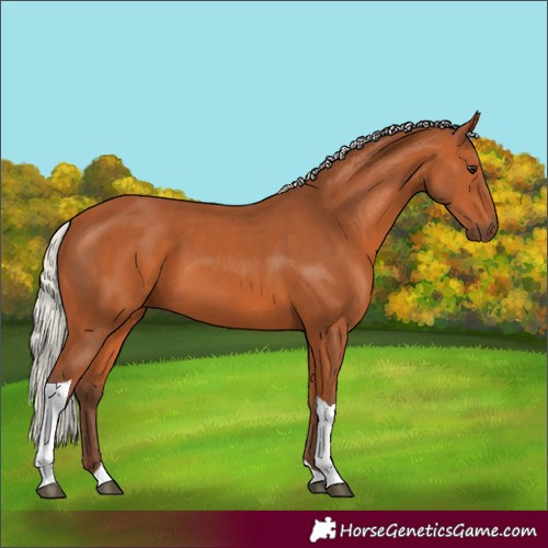 Horse Color:Silver Bay Tobiano 
