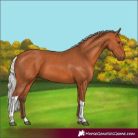 Horse Color:Silver Bay Tobiano