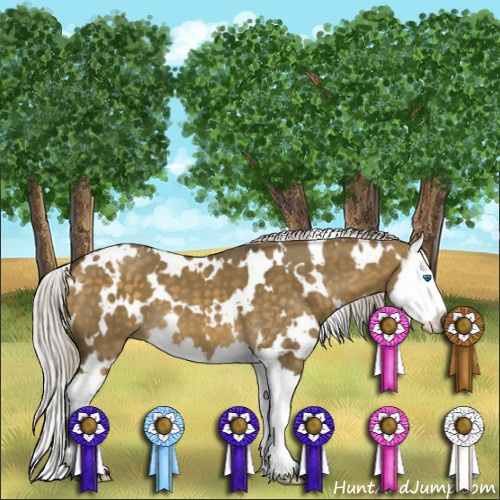 Horse Color:White Spotted Silver Buckskin Dun Splash 