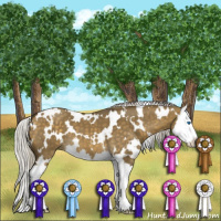 Horse Color:White Spotted Silver Buckskin Dun Splash 