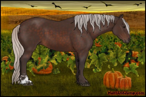 Horse Color:Silver Brown Sabino 