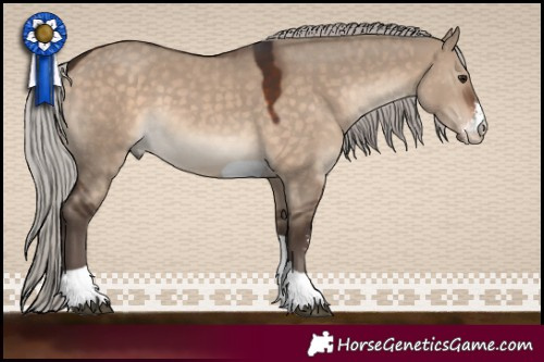 Horse Color:Silver Brown Dun Sabino Tobiano