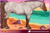 Horse Color:Red Roan Frame 