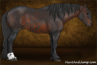 Horse Color:Black  and Brown 