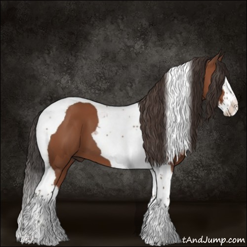 Horse Color:Bay Splash Tobiano 