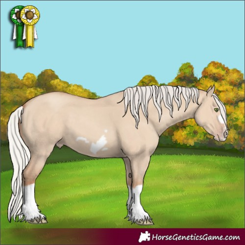 Horse Color:Silver Classic Champagne Dun Splash Frame 