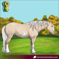 Horse Color:Silver Classic Champagne Dun Splash Frame 