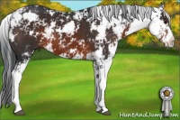 Horse Color:Brown Sabino 