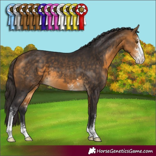 Horse Color:Buckskin Sabino