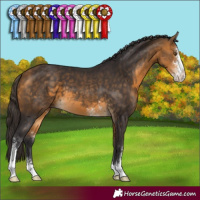 Horse Color:Buckskin Sabino 