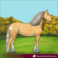 Horse Color:Palomino Ice 