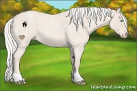 Horse Color:Silver Smoky Creme Roan 
