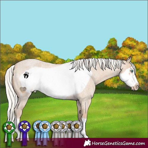 Horse Color:Silver Smoky Creme Roan Frame 