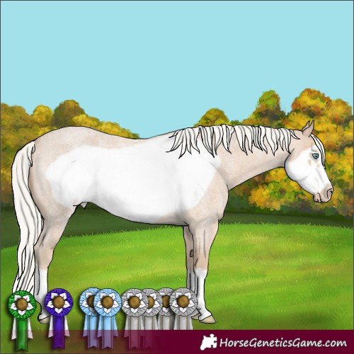 Horse Color:Silver Smoky Creme Roan Frame 