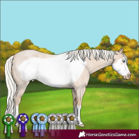 Horse Color:Silver Smoky Creme Roan Frame 