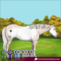 Horse Color:Silver Smoky Creme Roan Frame