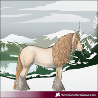 Horse Color:Buckskin Roan Pearl 