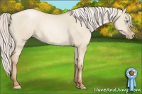 Horse Color:Silver Smoky Grullo Pearl 