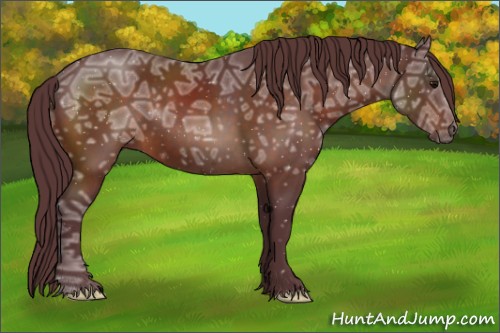 Horse Color:Chocolate Bay Ice
