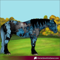 Horse Color:ERROR: UNKNOWN ANOMALY