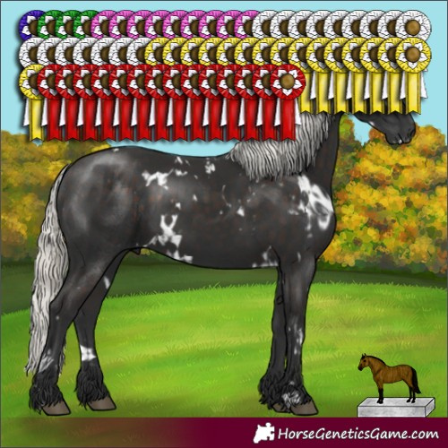 Horse Color:White Spotted Liver Chestnut Mushroom  and White Spotted Liver Chestnut Mushroom 