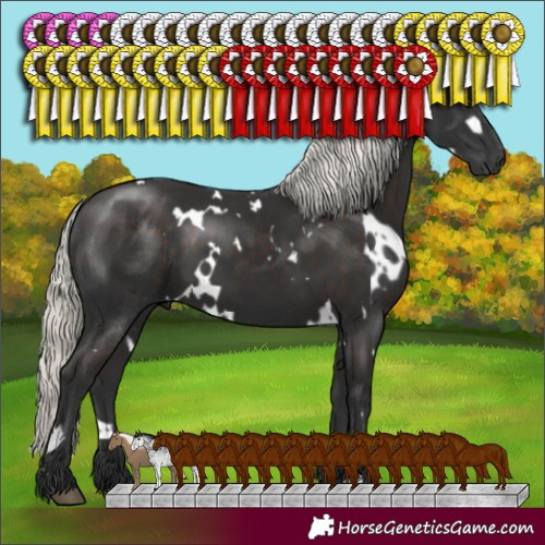 Horse Color:White Spotted Liver Chestnut Mushroom