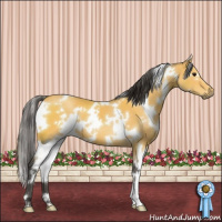 Horse Color:White Spotted Buckskin 