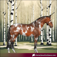 Horse Color:White Spotted Bay 