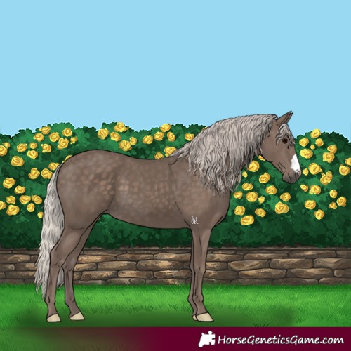 Horse Color:Silver Black 
