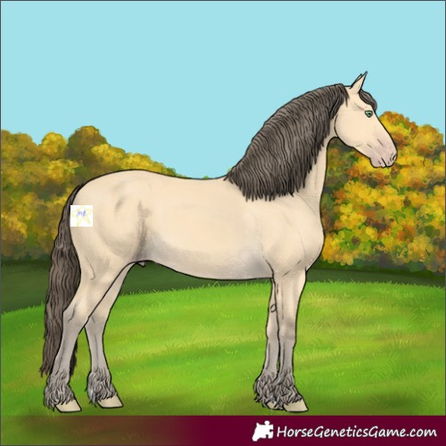 Horse Color:Amber Cream Champagne 
