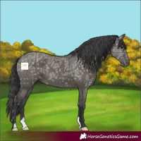 Horse Color:Grullo Ice 