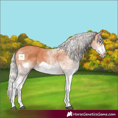 Horse Color:White Spotted Silver Bay Frame 