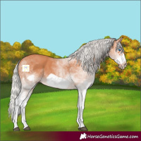 Horse Color:White Spotted Silver Bay Frame 