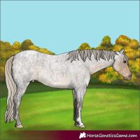 Horse Color:Silver Smoky Blue Ice Roan 