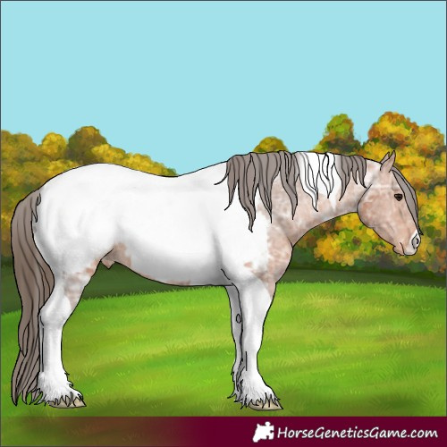 Horse Color:Bay Ice Tobiano Near Fewspot 