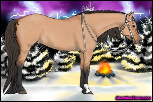 Horse Color:Bay Dun