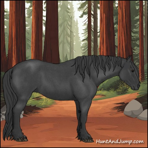 Horse Color:Blue Roan 